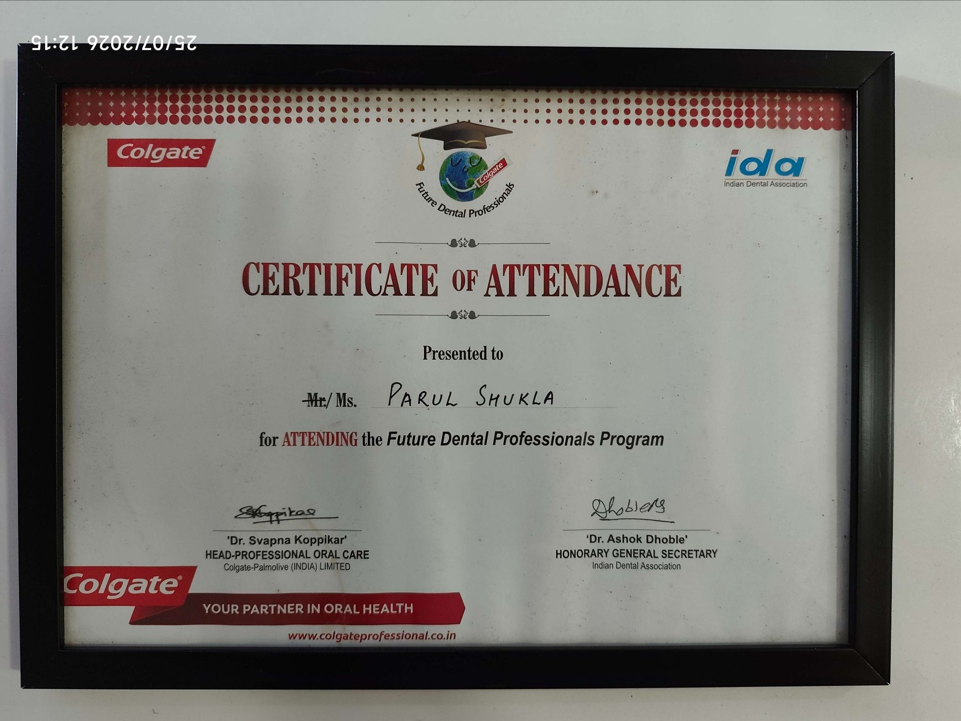 Future Dental Professionals Program